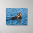Pesquisar por wildlife impressão de canvas Animal