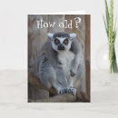 Pesquisar por lemur cartoes Limão