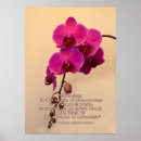 Pesquisar por orquídeas pôsteres Phalaenopsis