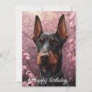 Pesquisar por doberman cartoes Animais de estimação
