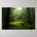 Pesquisar por natur pôsteres Forest