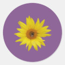 Pesquisar por fundo roxo adesivos Verão