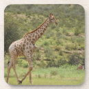 Pesquisar por giraffa porta copos Dia