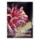 Pesquisar por pimenta cartoes Doces