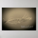 Pesquisar por recife pôsteres Submarino