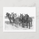 Pesquisar por cavalo de madeira cartoes postais Cavalos