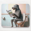Pesquisar por wolfhound irlandês Canino