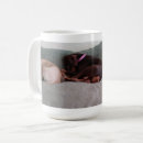 Pesquisar por companheiro da do canecas Amor