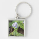 Pesquisar por borboleta marrom chaveiros Flor
