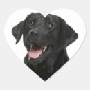 Pesquisar por labrador preto adesivos Cachorros