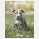 Pesquisar por pit bull mantas Qualquer pessoa