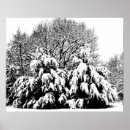 Pesquisar por árvore preta pôsteres Neve