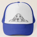 Pesquisar por cão de basset bones Cachorrinho