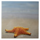 Pesquisar por estrela azulejos Criaturas do sealife