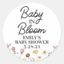 Pesquisar por sementes adesivos Bebê na floração