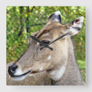 Pesquisar por veado relogios de parede Foto