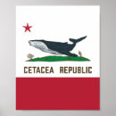 Pesquisar por cetáceos pósteres pôsteres Baleia