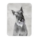 Pesquisar por schnauzer gigante imas Padrão