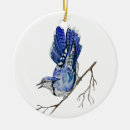 Pesquisar por jay ornamentos Aquarela