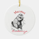Pesquisar por marmota ornamentos Natureza