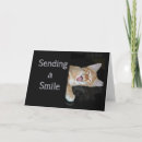 Pesquisar por smiling cat cartoes Cute