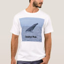 Pesquisar por baleia de humpback Baleias