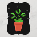 Pesquisar por armadilhas convites Armadilha venosa mosca