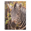 Pesquisar por listras da zebra cadernos de notas Qualquer pessoa