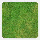 Pesquisar por verde de grama adesivos Campo