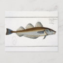 Pesquisar por répteis cartoes postais Marinha