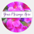 Pesquisar por flores roxas pequenas adesivos Obrigado