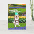 Pesquisar por bavaria cartoes Oktoberfest