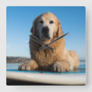 Pesquisar por austrália pôsteres relogios de parede Mar