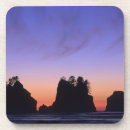 Pesquisar por olimpiadas porta copos Floresta tropical