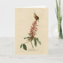 Pesquisar por carolina cartoes Ilustração