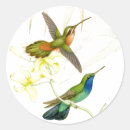 Pesquisar por colibri adesivos Natureza