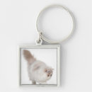 Pesquisar por gato persa chaveiros Natureza