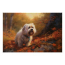 Pesquisar por tibetan pôsteres Terrier tibetano
