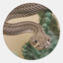 Pesquisar por cobre artesanato material Réptil