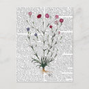 Pesquisar por cravo cartoes postais Steampunk