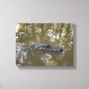 Pesquisar por jacaré impressão de canvas Pântano