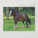 Pesquisar por cavalo clydesdale cartoes postais Fazenda