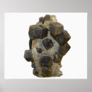 Pesquisar por mineralogia pôsteres Ciência natural