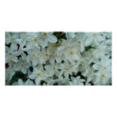 Pesquisar por delicado pôsteres Qualquer pessoa