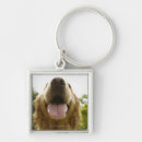 Pesquisar por golden retriever chaveiros Animal