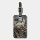 Pesquisar por predador bagagem tags Pássaro