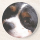 Pesquisar por cavalier porta copos Cães