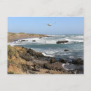 Pesquisar por selo postal da natureza Califórnia