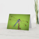 Pesquisar por dragonfly cartoes Natureza