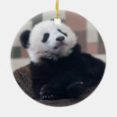 Pesquisar por pandas ornamentos Preto e branco